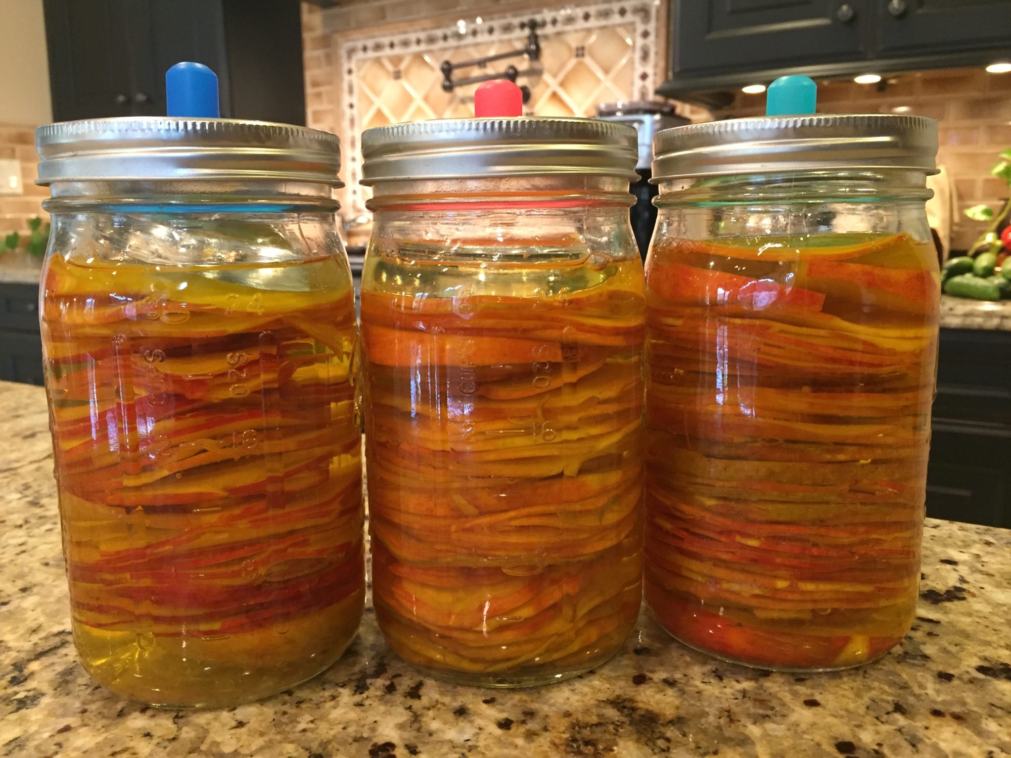 Let's Ferment with Dr. Carolyn Griffin