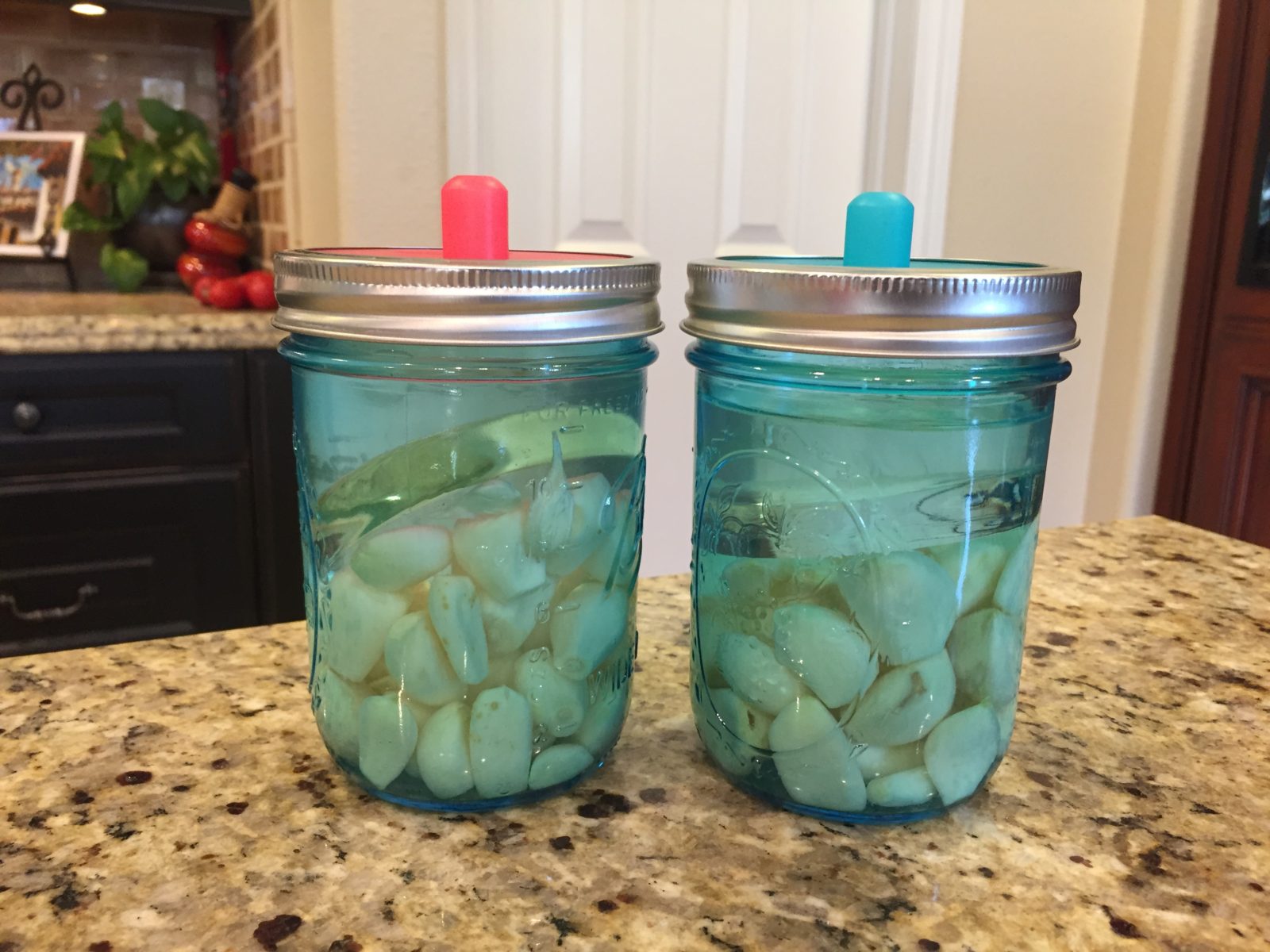 Fermented Garlic with Dr. Carolyn Griffin