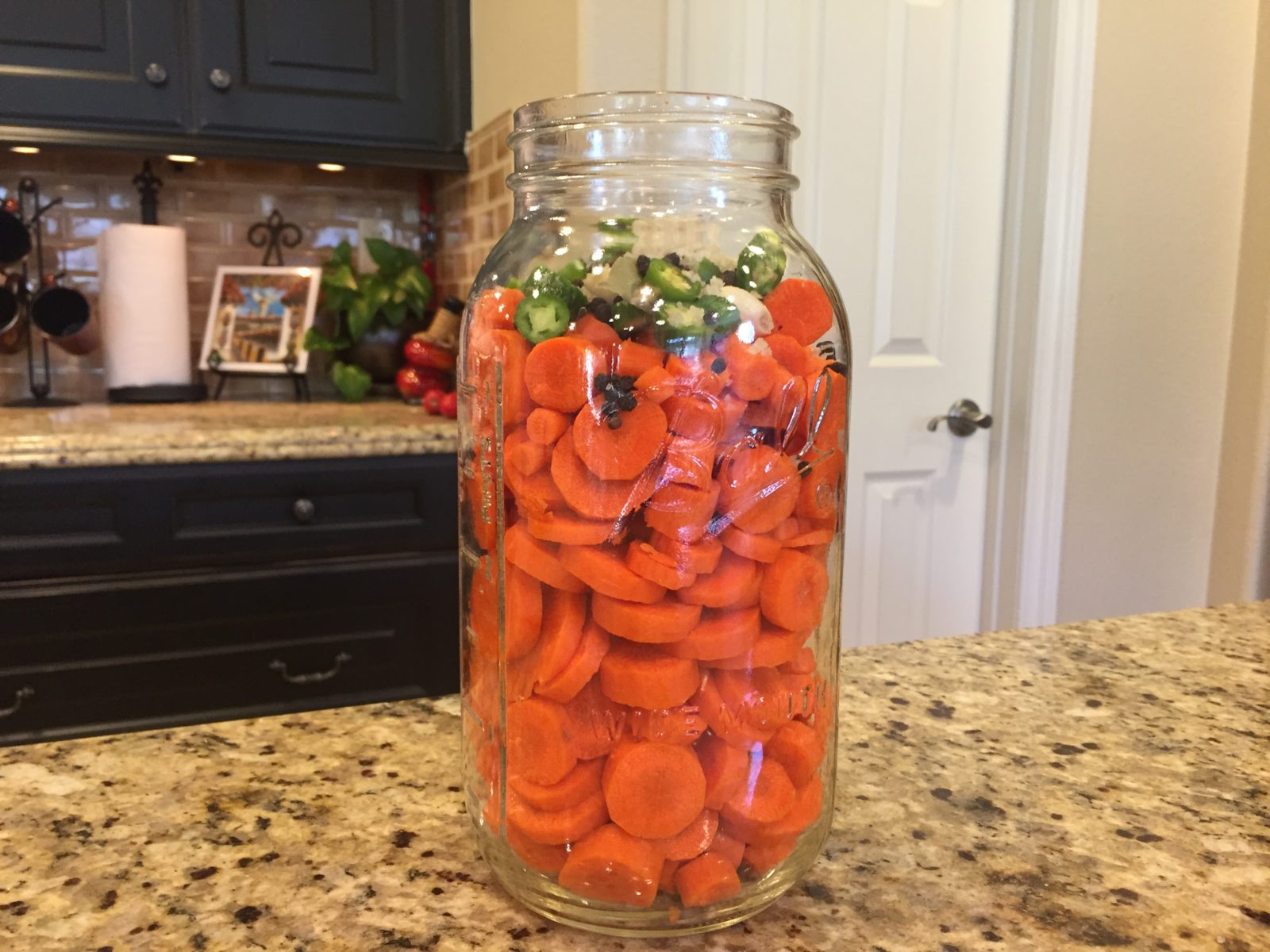 Let's Ferment with Dr. Carolyn Griffin